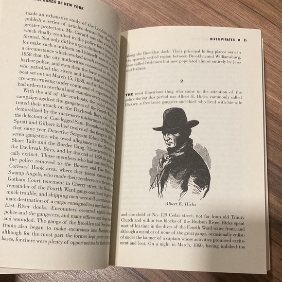 The Gangs of New York paperback book by Herbert Asbury - Picture 6 of 6